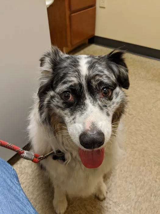 Parker Animal & Bird Clinic Picture 3