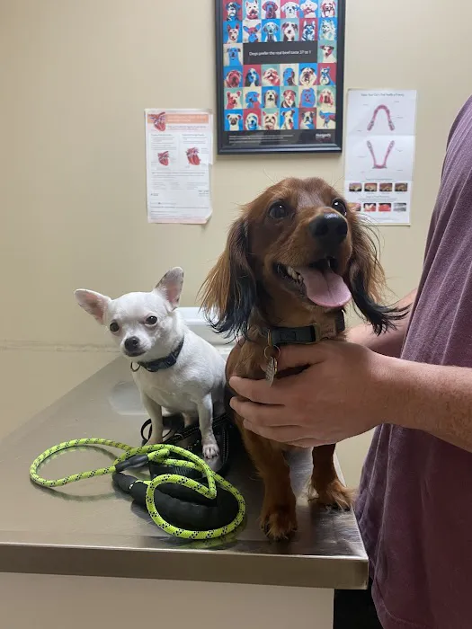 Parker Animal & Bird Clinic Picture 4
