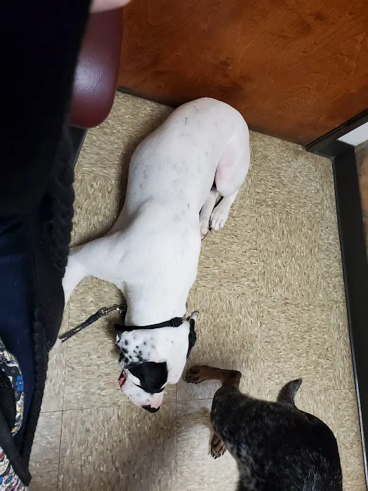 Parker Animal & Bird Clinic Picture 10