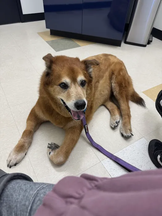 Park Mall Animal Clinic Picture 2