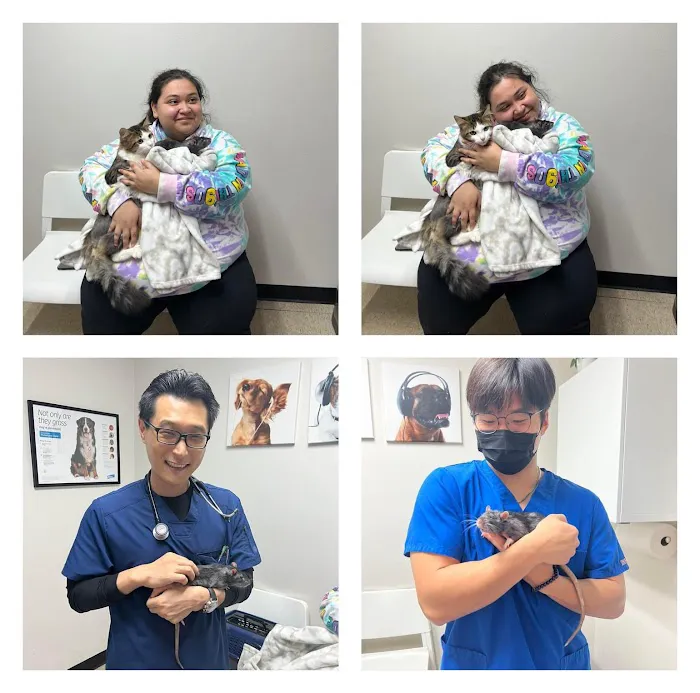 Park Mall Animal Clinic Picture 6