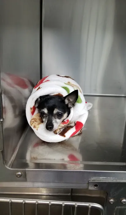 Park Mall Animal Clinic Picture 8