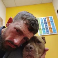 Banfield Pet Hospital ico