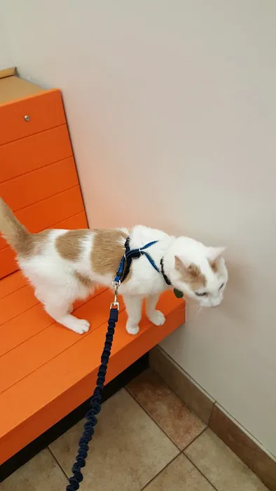 Banfield Pet Hospital Picture 3