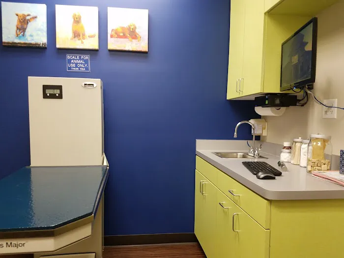 Breckinridge Park Animal Hospital Picture 10