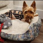 Breckinridge Park Animal Hospital