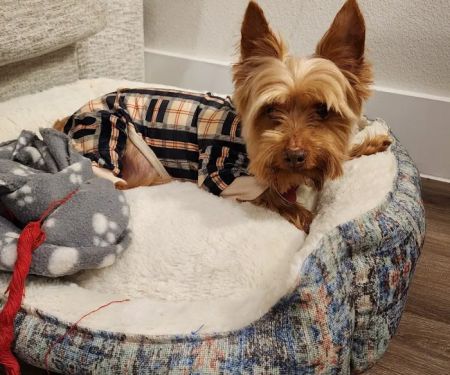 Breckinridge Park Animal Hospital