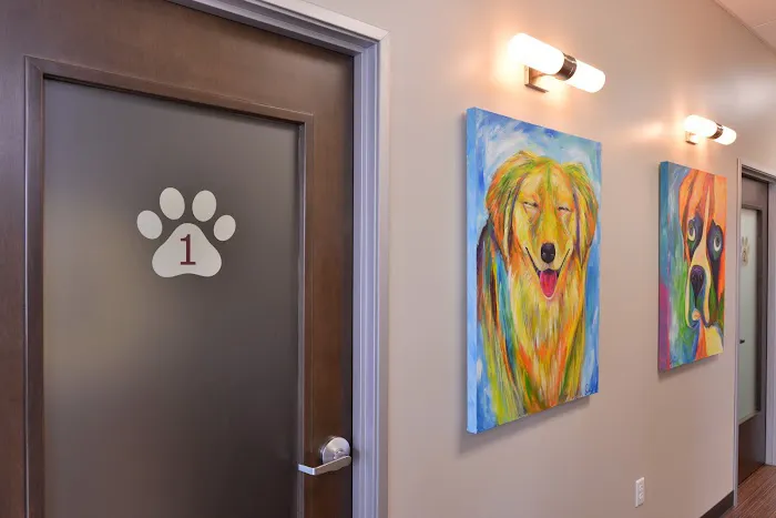Breckinridge Park Animal Hospital Picture 6