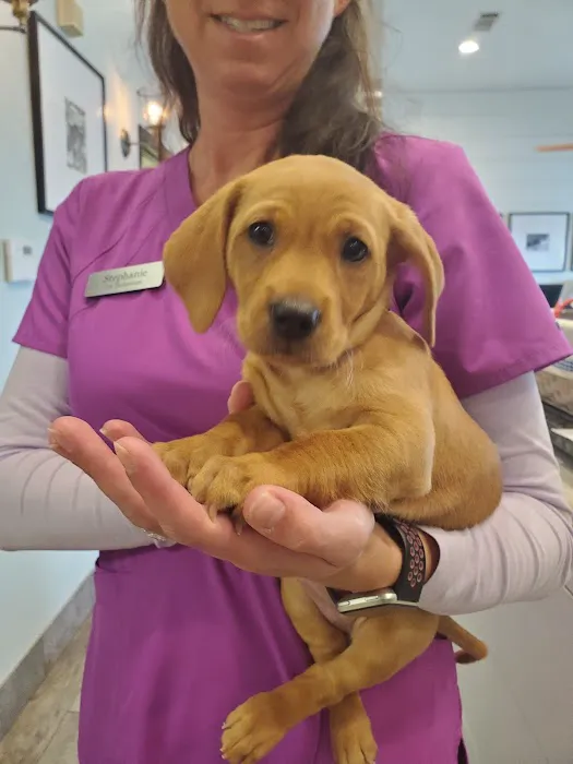 Murphy Road Animal Hospital Picture 2