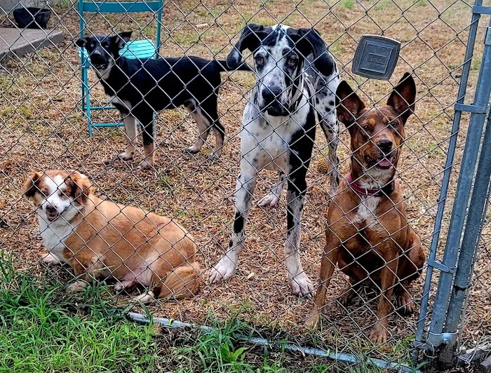 White Oak Veterinary Clinic Picture 9