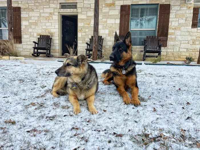 White Oak Veterinary Clinic Picture 8
