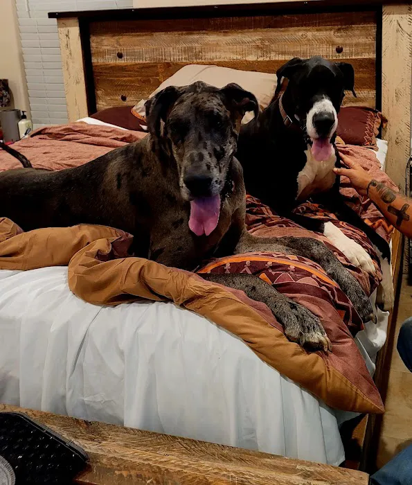 White Oak Veterinary Clinic Picture 7