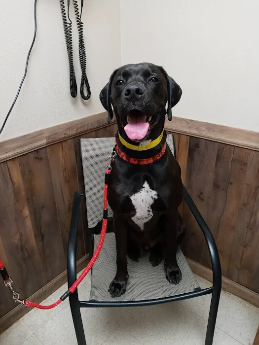 Alvarado Veterinary Clinic Picture 1