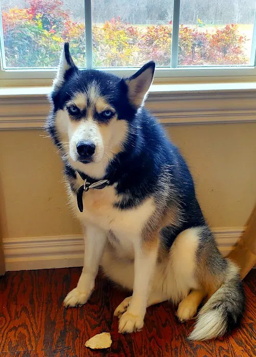 Alvarado Veterinary Clinic Picture 10