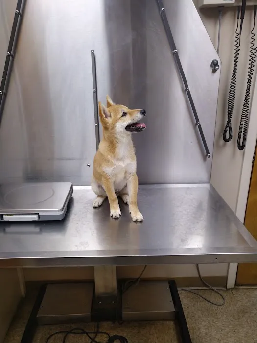 Alvarado Veterinary Clinic Picture 4