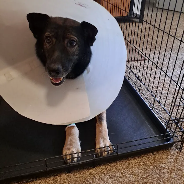 Alvarado Veterinary Clinic Picture 6
