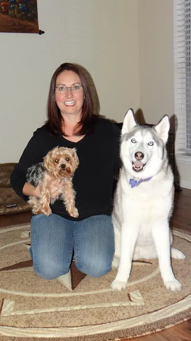 VCA Ridge Road Animal Hospital Picture 8