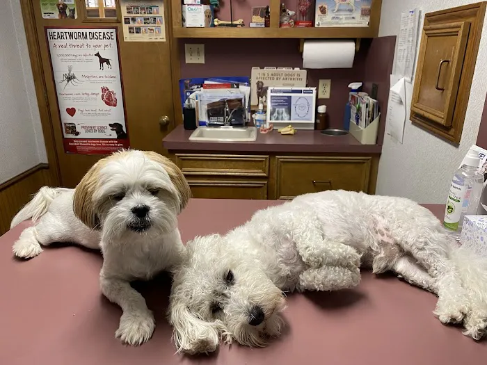 Lakeside Veterinary Clinic Picture 3
