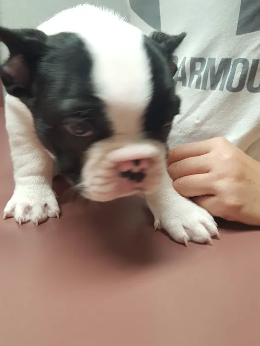 Lakeside Veterinary Clinic Picture 4