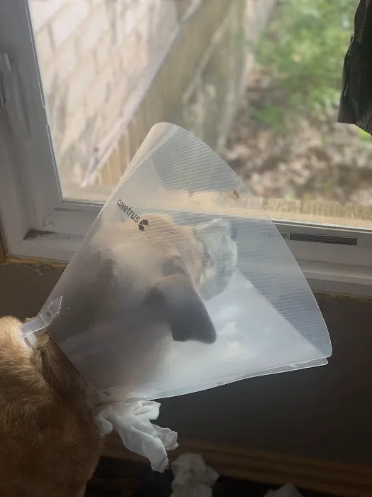 Lakeside Veterinary Clinic Picture 1