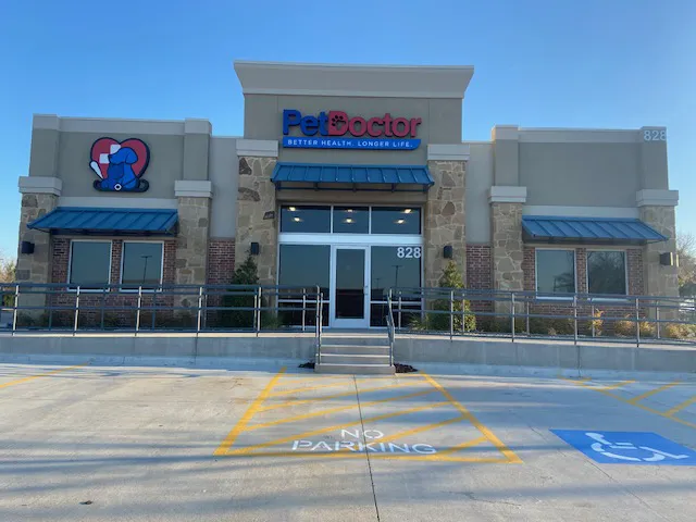 Pet Doctor Picture 5