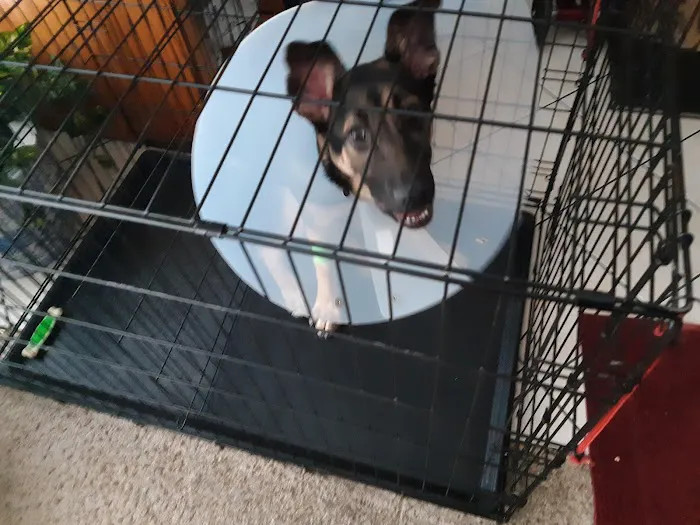Banfield Pet Hospital Picture 10