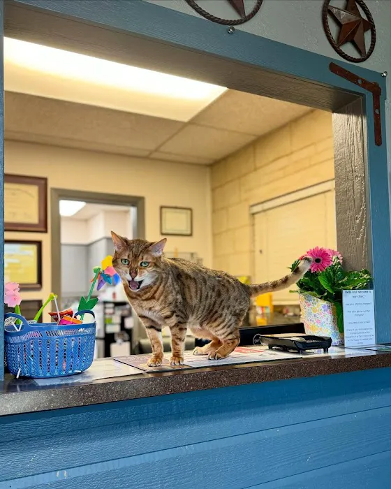 Rockwall Veterinary Hospital Picture 10