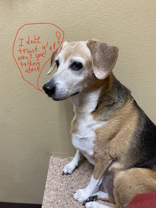Stonebridge Veterinary Hospital Picture 9