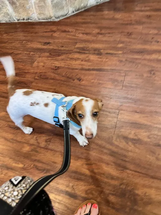 Stonebridge Veterinary Hospital Picture 10