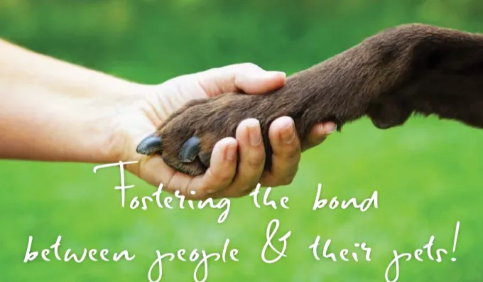 Rockwall County Veterinary Clinic Picture 6