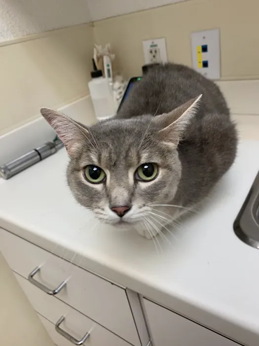 Rockwall County Veterinary Clinic Picture 1