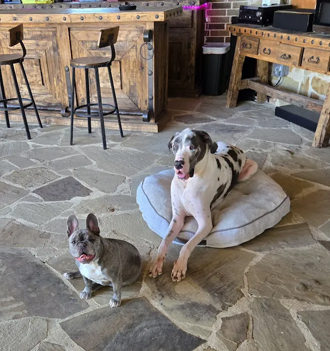 Rockwall County Veterinary Clinic Picture 9