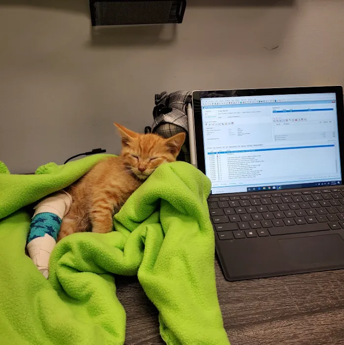 Rockwall Urgent Vet Picture 9