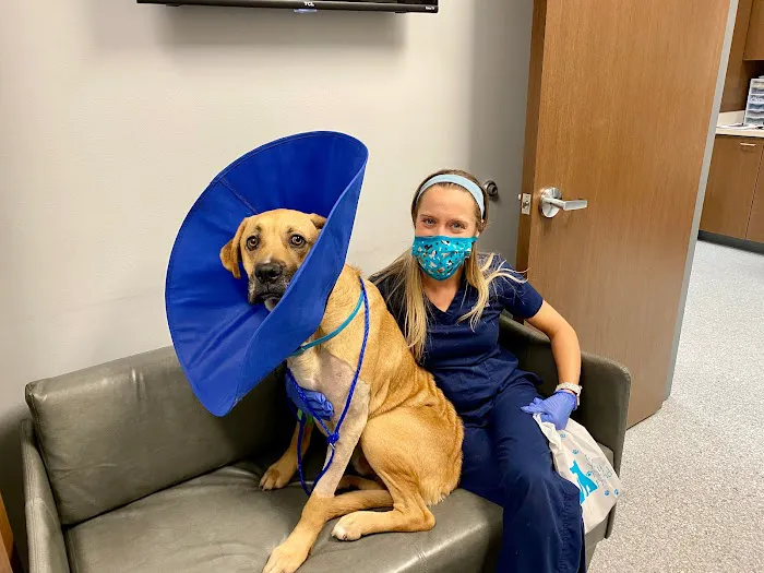 Rockwall Urgent Vet Picture 1