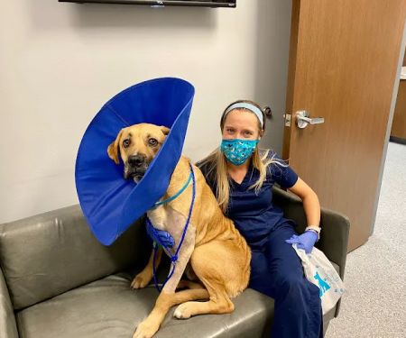 Rockwall Urgent Vet