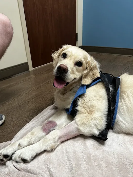 Rockwall Urgent Vet Picture 3