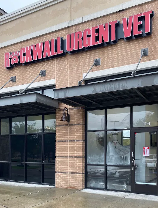 Rockwall Urgent Vet Picture 6