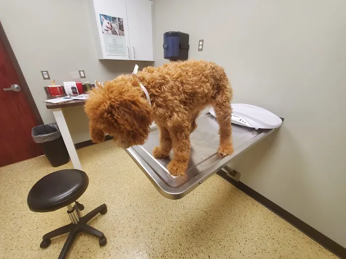 Krause Veterinary Clinic Picture 7