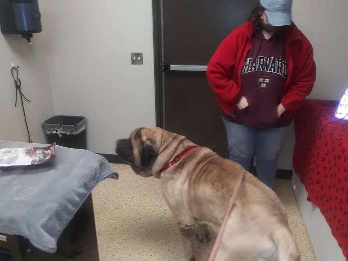 Krause Veterinary Clinic Picture 6