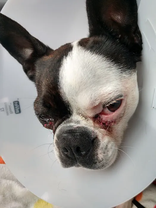 Almont-Dryden Veterinary Clinic Picture 2
