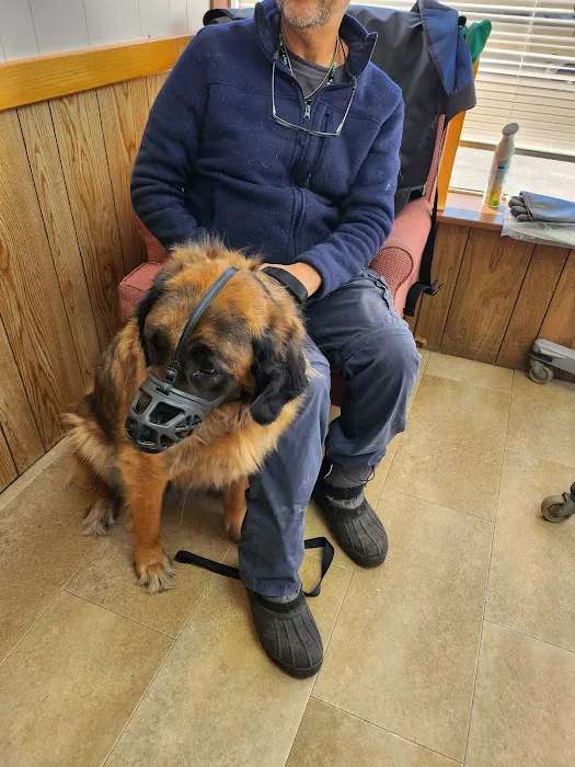 Almont-Dryden Veterinary Clinic Picture 1