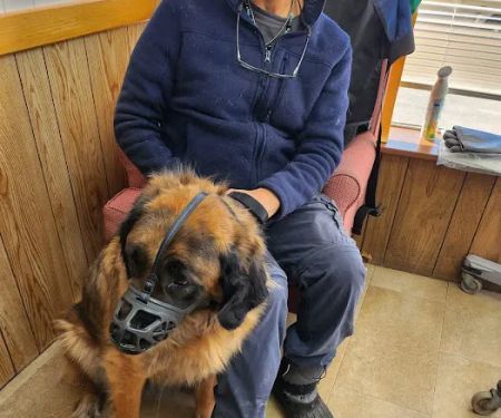 Almont-Dryden Veterinary Clinic