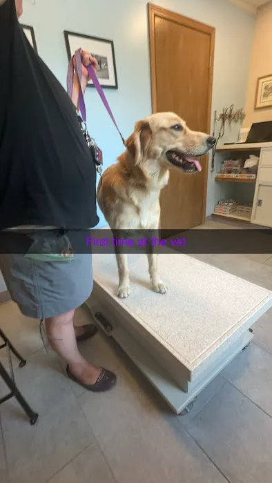 Almont-Dryden Veterinary Clinic Picture 3