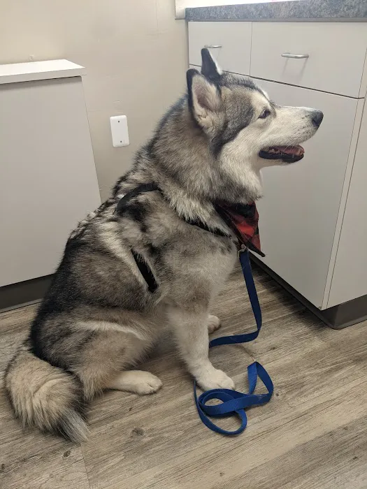 Animal Medical Center of Van Buren Picture 10