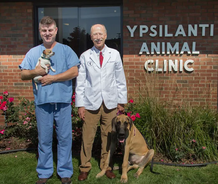 Ypsilanti Animal Clinic Picture 2