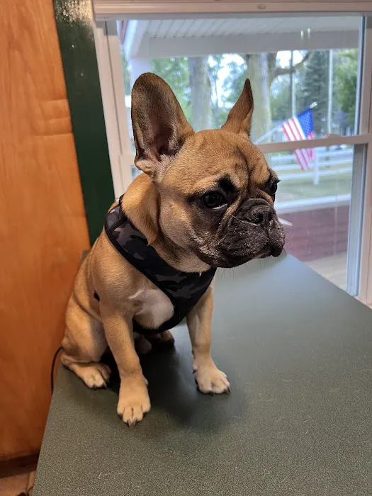 Noah's Ark Pet Hospital Picture 4