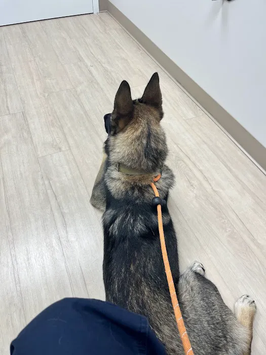 Lifeline Veterinary Urgent Care Picture 10