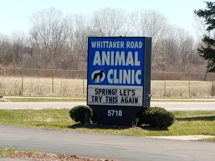 Whittaker Road Animal Clinic Picture 5