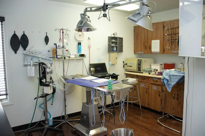 Whittaker Road Animal Clinic Picture 3