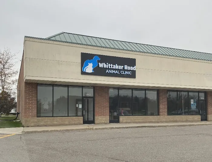 Whittaker Road Animal Clinic Picture 2